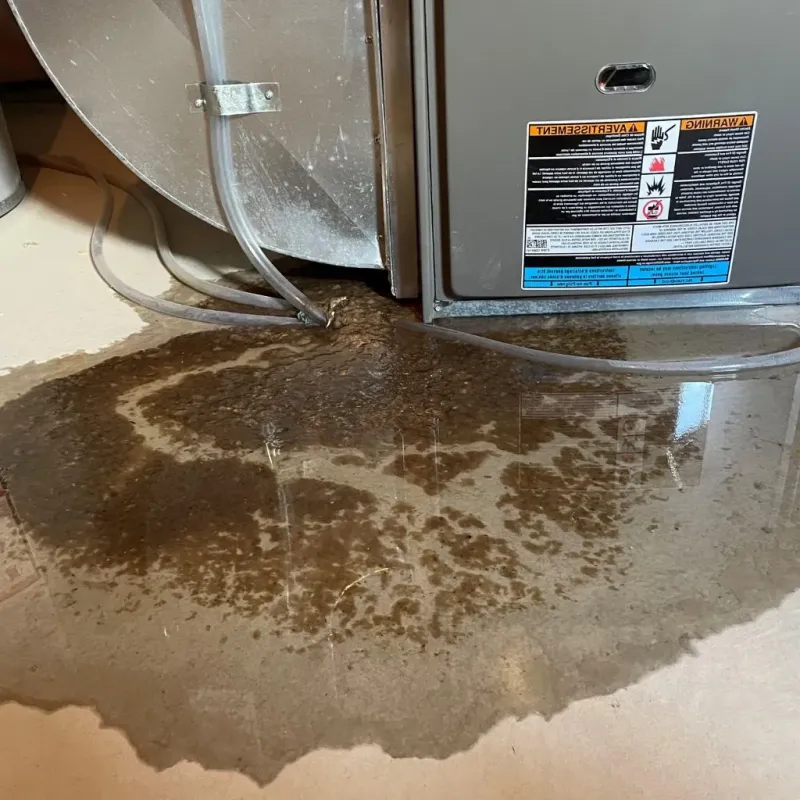 Pipe Burst and Leak Restoration in Kadoka, SD